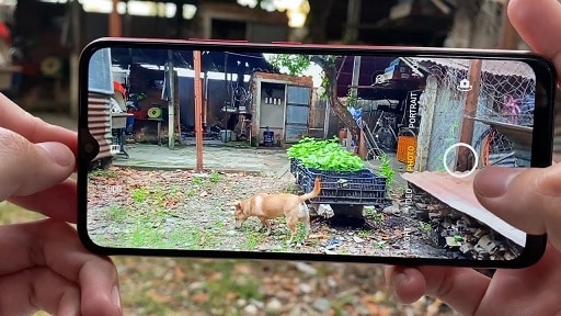samsung a12 camera test samsung a12 camera test