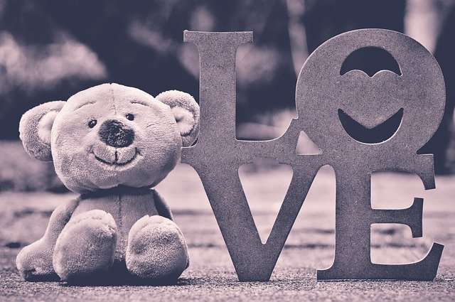 teddy bear amazon fresh teddy bear amazon fresh