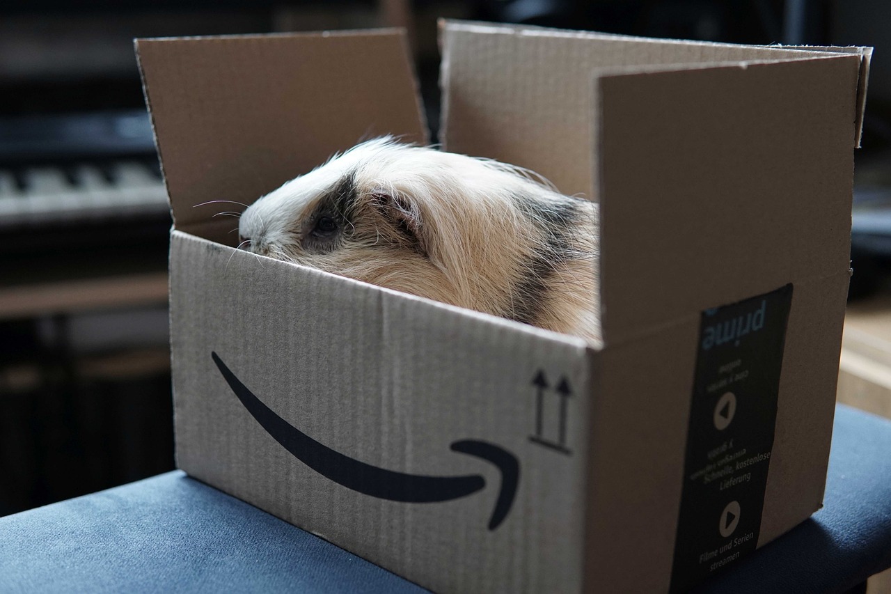 Studentenangebot für Amazon Prime Studentenangebot für Amazon Prime