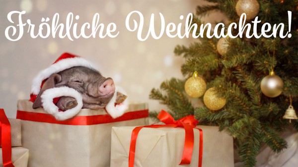 WhatsApp: Diese süßen Weihnachtsgrüße können Sie kinderleicht versenden WhatsApp: Diese süßen Weihnachtsgrüße können Sie kinderleicht versenden