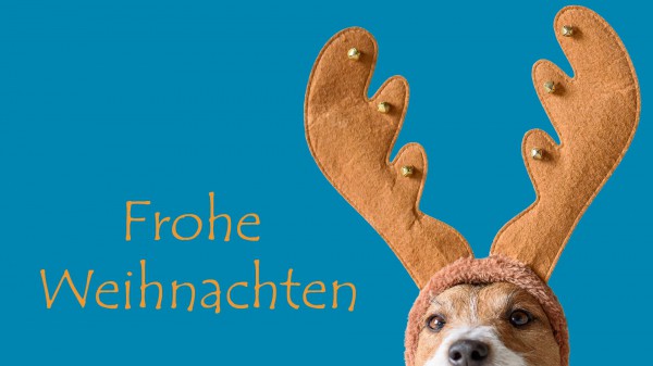 WhatsApp: Diese süßen Weihnachtsgrüße können Sie kinderleicht versenden WhatsApp: Diese süßen Weihnachtsgrüße können Sie kinderleicht versenden