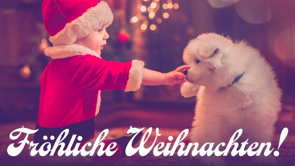 WhatsApp: Diese süßen Weihnachtsgrüße können Sie kinderleicht versenden WhatsApp: Diese süßen Weihnachtsgrüße können Sie kinderleicht versenden