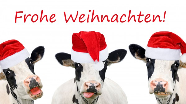 WhatsApp: Diese süßen Weihnachtsgrüße können Sie kinderleicht versenden WhatsApp: Diese süßen Weihnachtsgrüße können Sie kinderleicht versenden