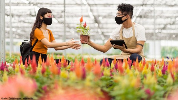 Besser nicht verpassen: Diese fünf Pflanzen müssen Sie in den nächsten Tagen aussäen