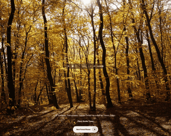 
    Web-Tipps: Naturklänge, Denkmäler, Text-KI
  