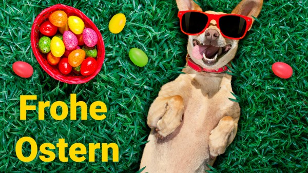 WhatsApp-Grüße an Ostern: Die schönsten Grußbilder zum Verschicken WhatsApp-Grüße an Ostern: Die schönsten Grußbilder zum Verschicken