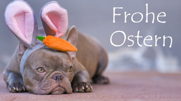 WhatsApp-Grüße an Ostern: Die schönsten Grußbilder zum Verschicken WhatsApp-Grüße an Ostern: Die schönsten Grußbilder zum Verschicken