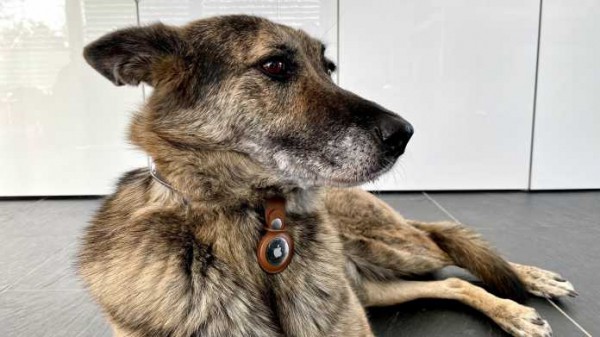 
    Gefahr Knopfzelle: Australischer Händler nimmt AirTags aus dem Programm
  