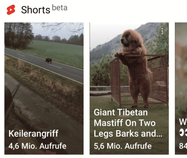 TikTok-Klon "YouTube Shorts" startet in Deutschland
   
    TikTok-Klon "YouTube Shorts" startet in Deutschland
